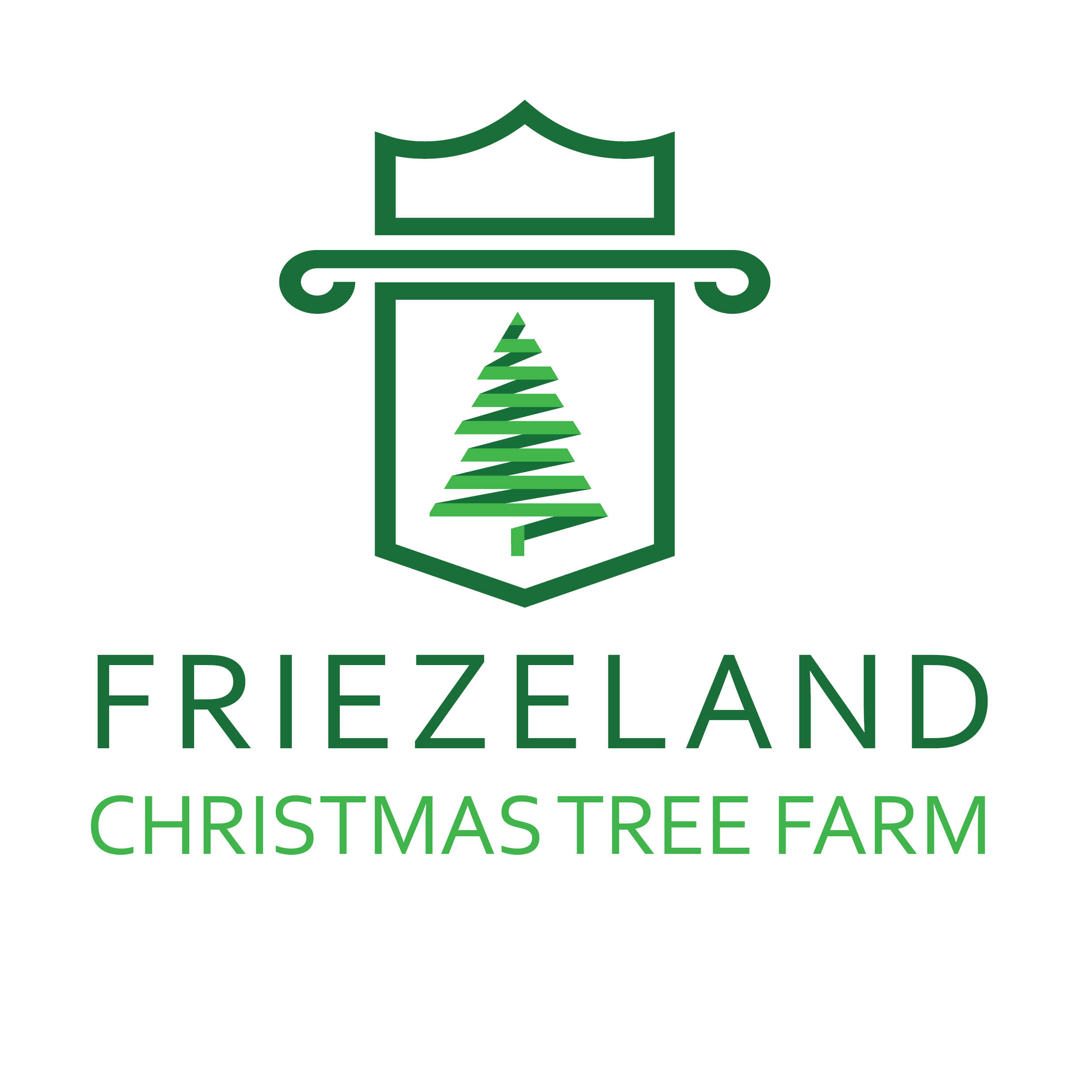 Christmas Tree Farm